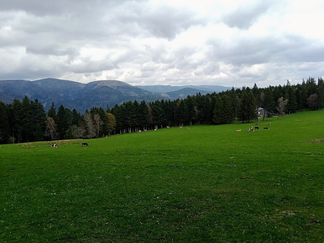 Vue de Mittlach