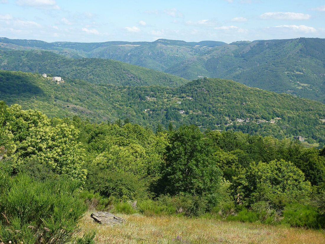 Vue de Moissac-Vallée-Française