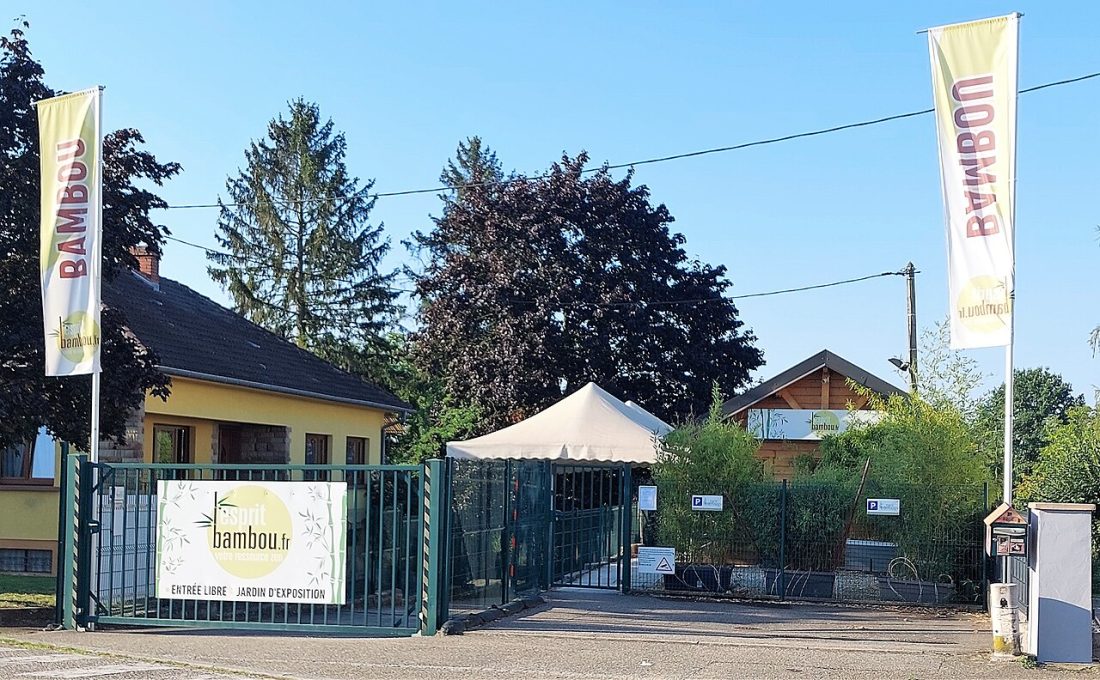 Vue de Mommenheim