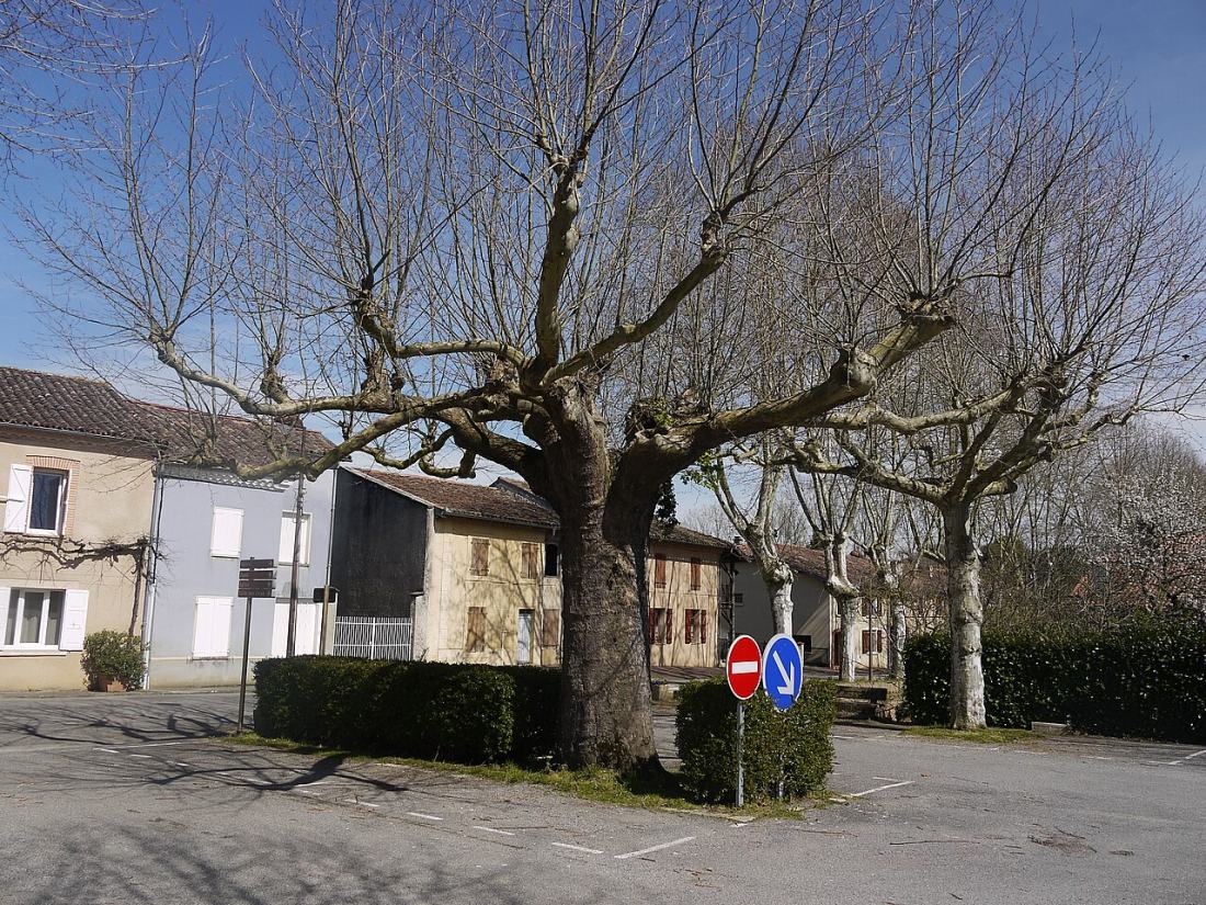 Vue de Montbernard