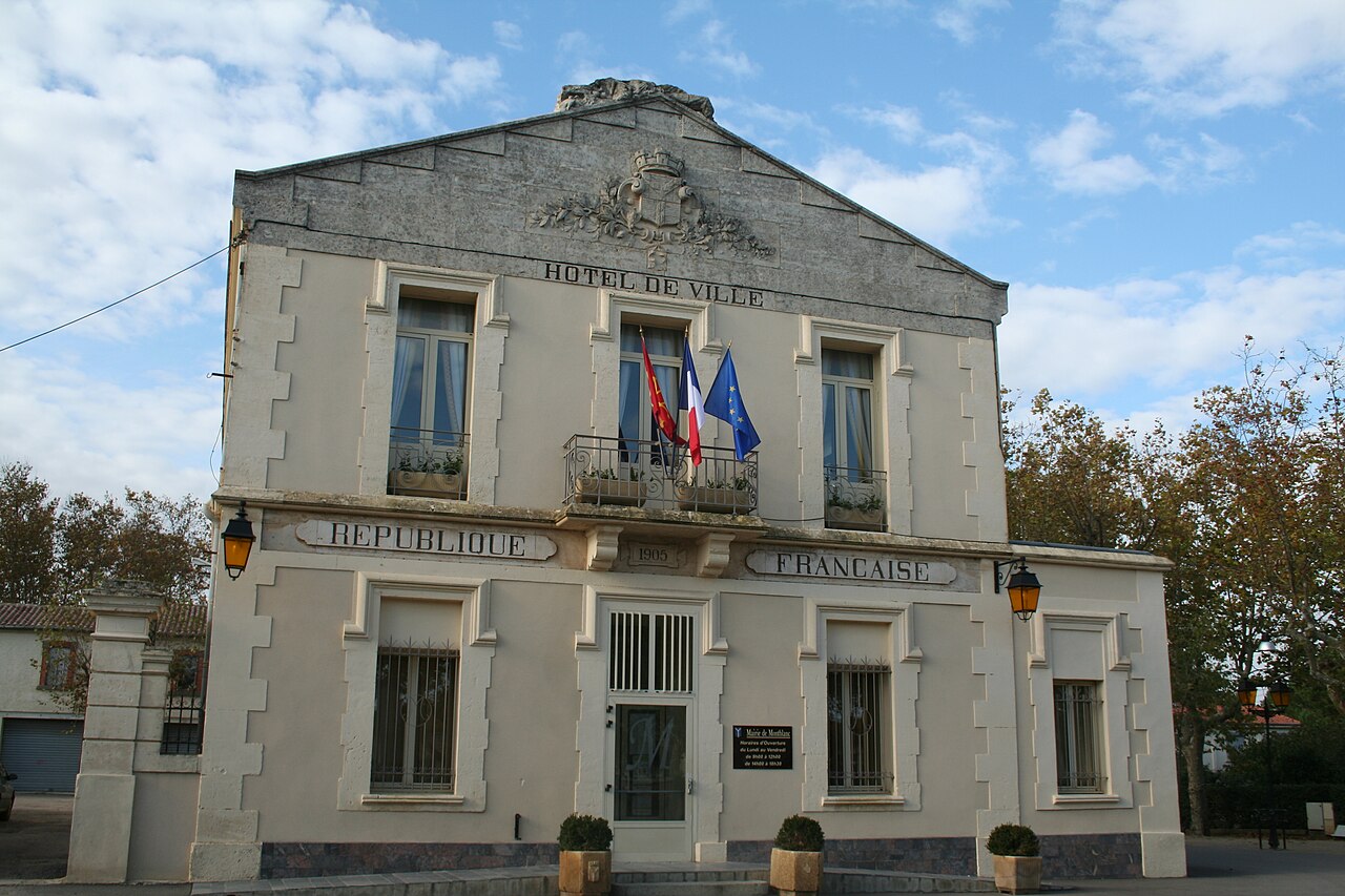 Vue de Montblanc