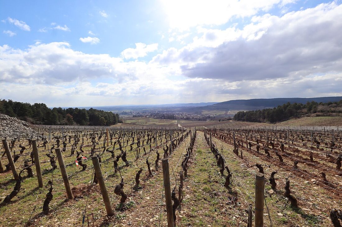 Vue de Monthelie