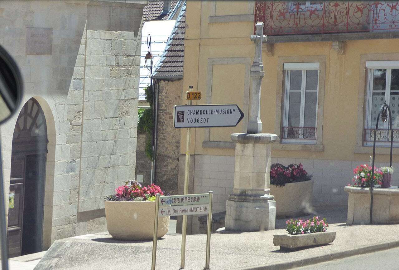Vue de Morey-Saint-Denis