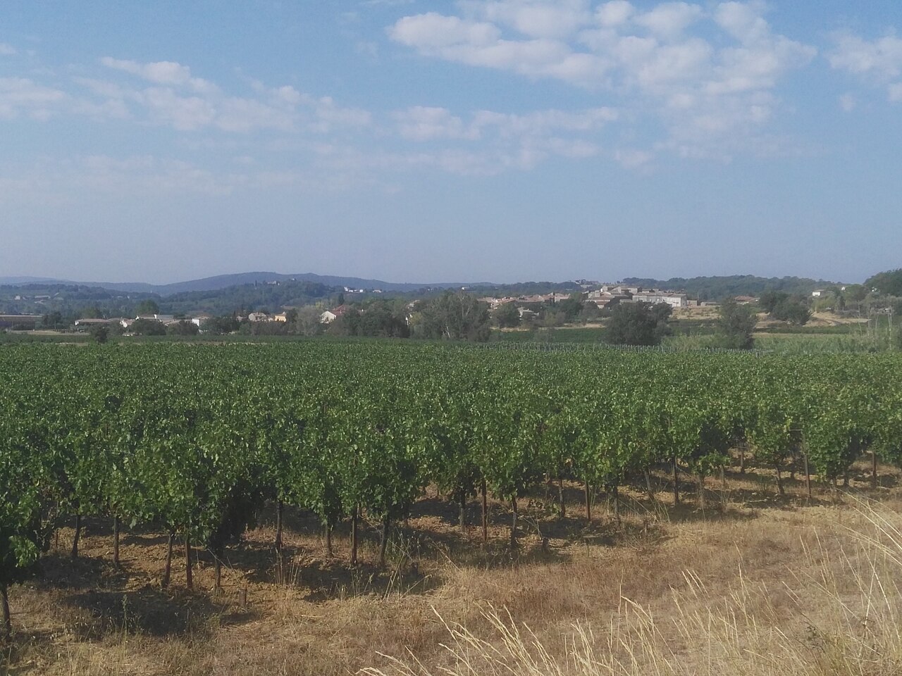Vue de Ners