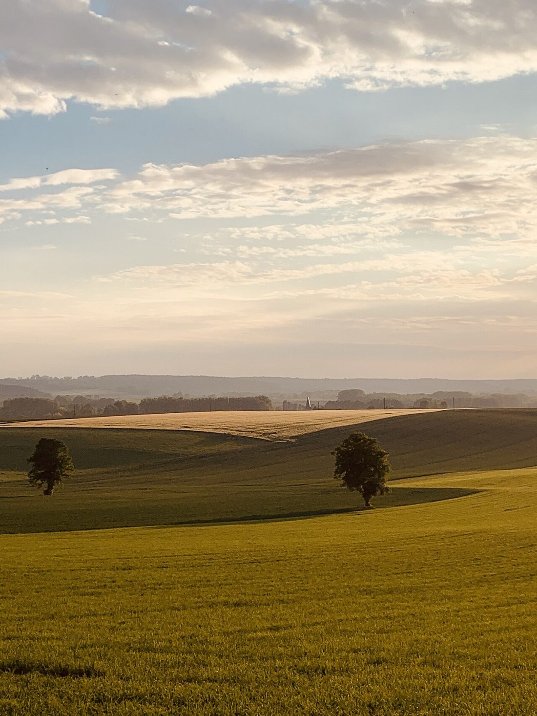 Vue de Nesle-Hodeng