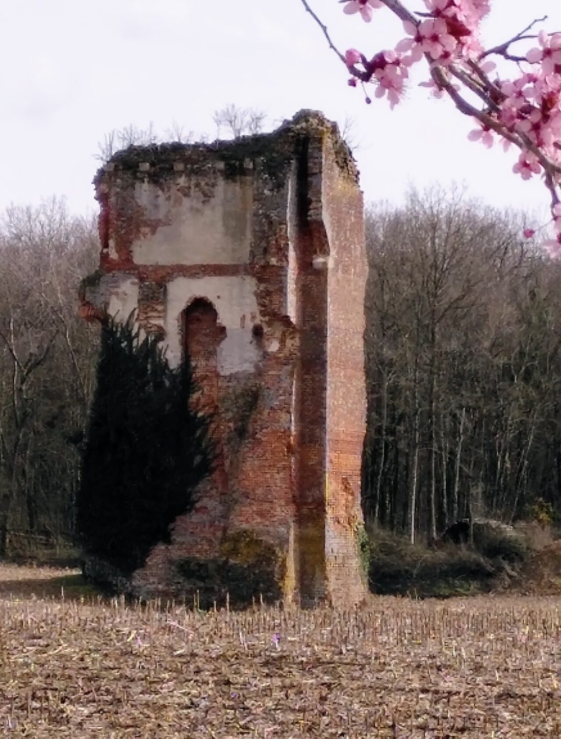 Vue de Neublans-Abergement