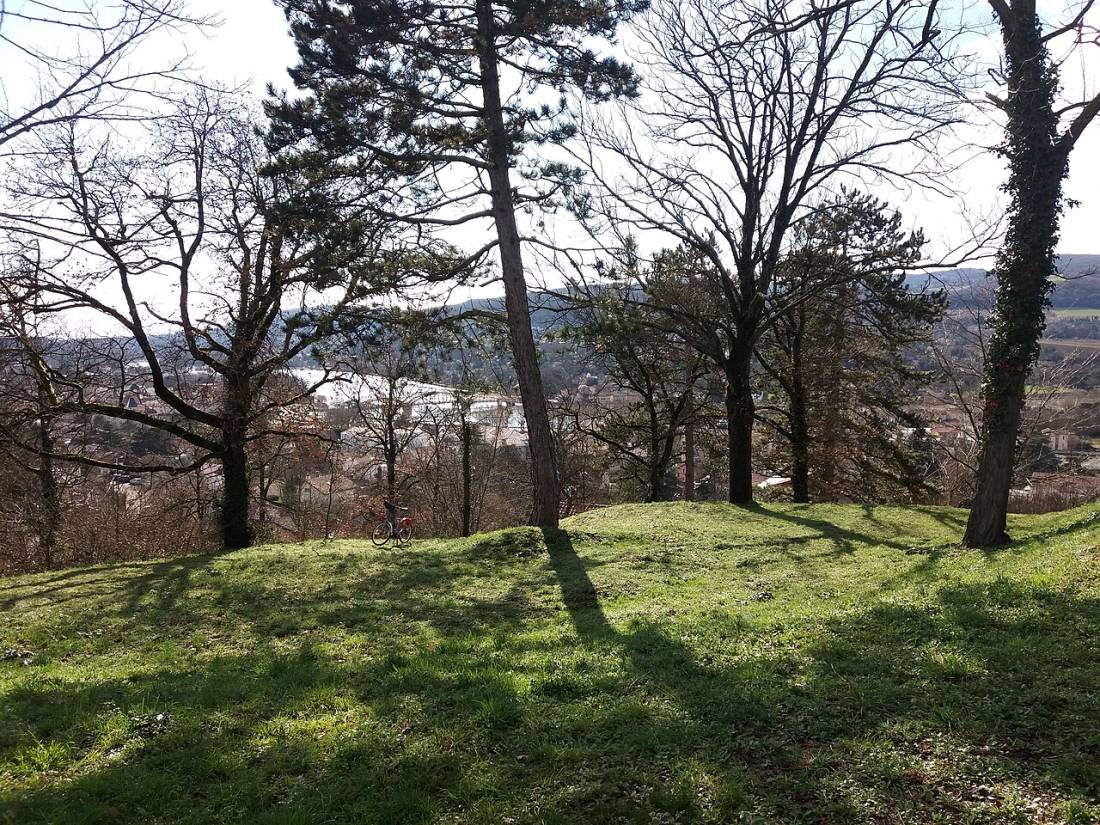 Vue de Neuville-sur-Saône