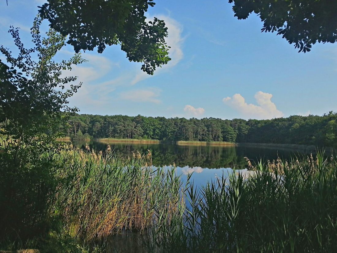 Vue de Neuvy