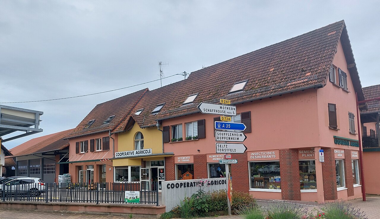Vue de Niederrœdern