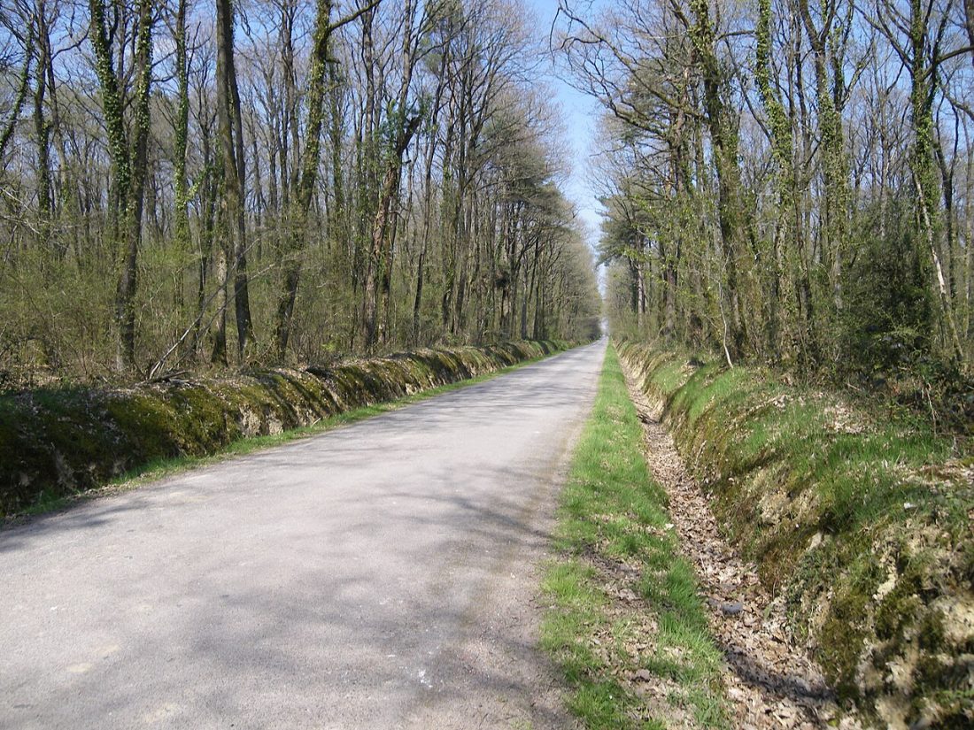 Vue de Noyal-sur-Vilaine