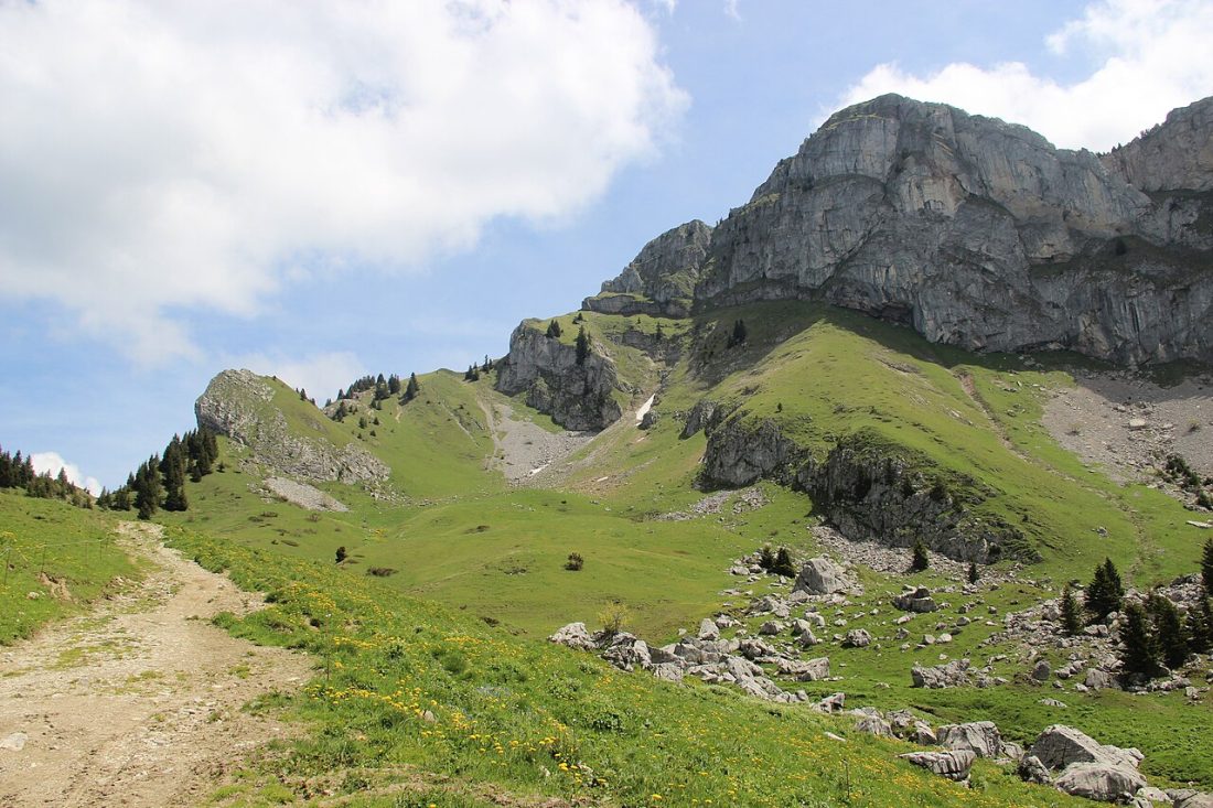 Vue de Onnion