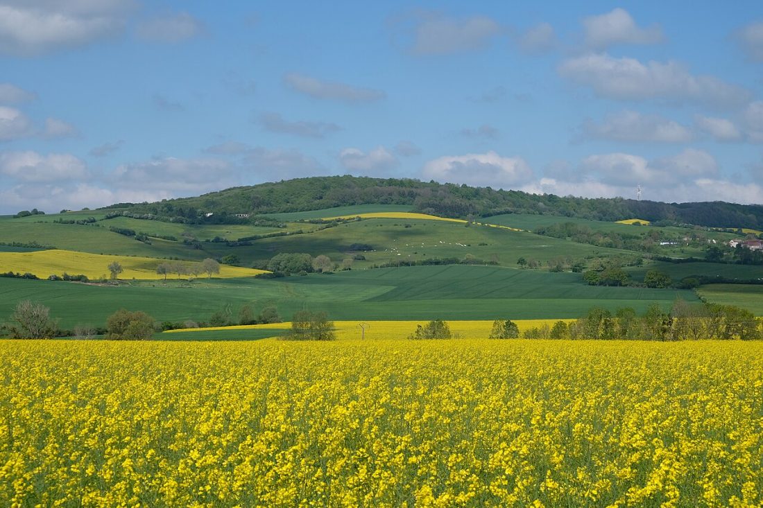 Vue de Oron