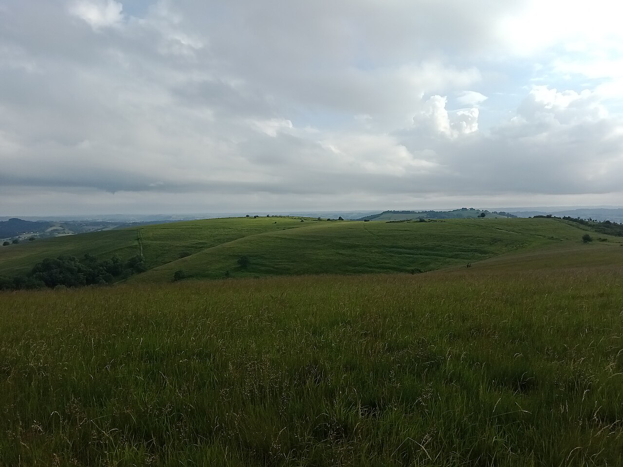 Vue de Orsanco