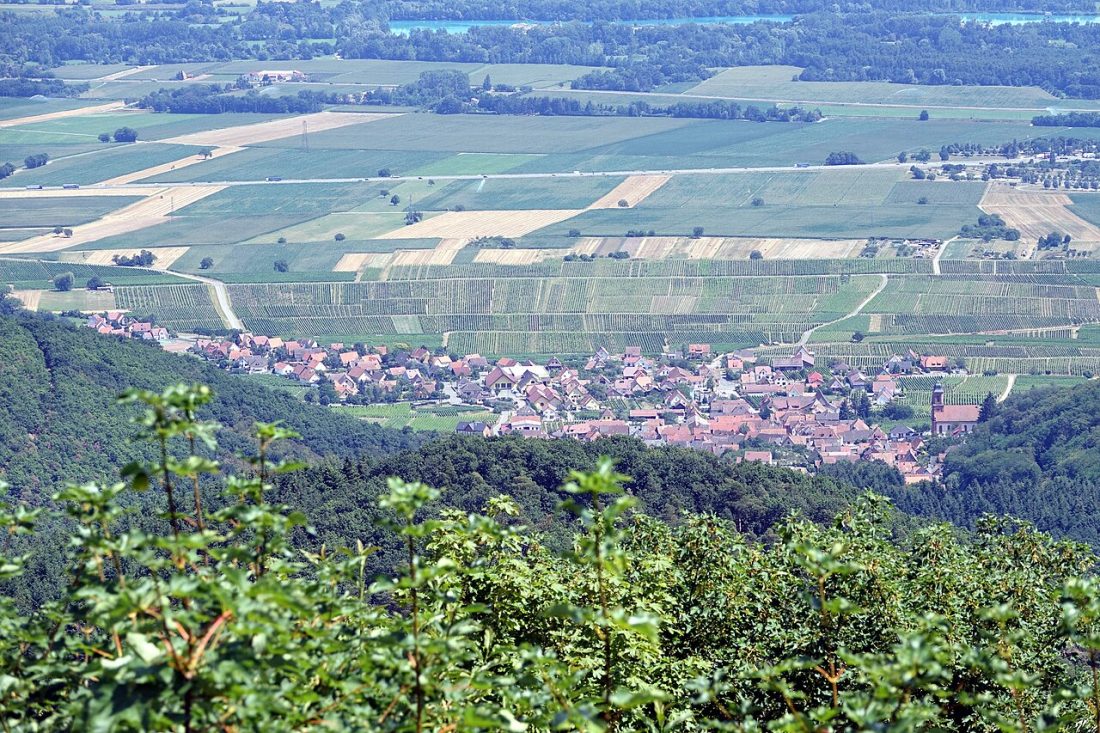 Vue de Orschwiller