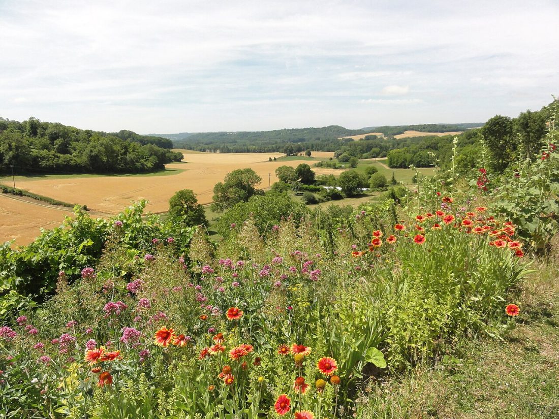 Vue de Paissy