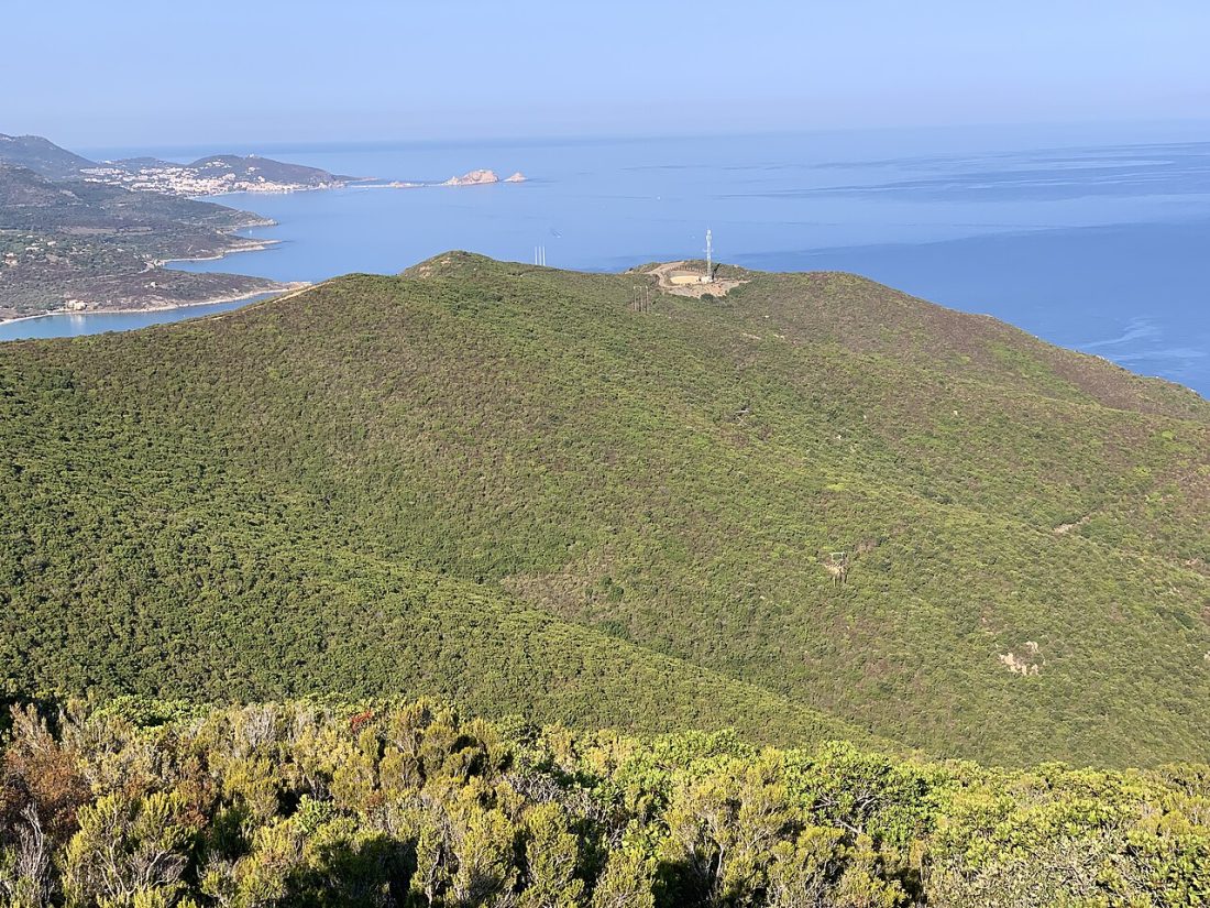 Vue de Palasca