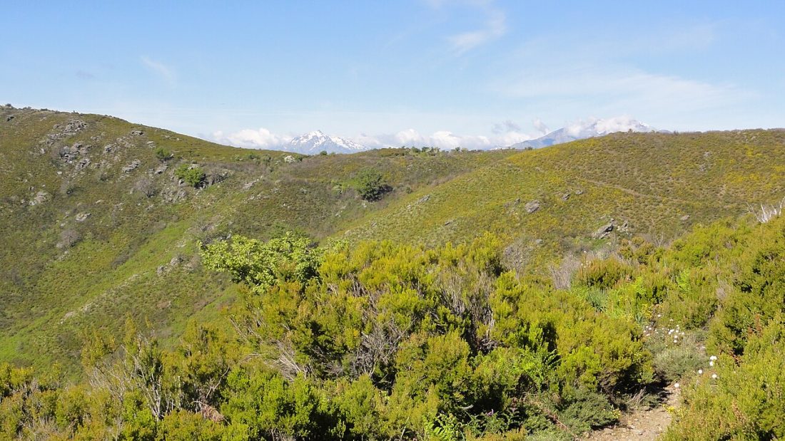Vue de Perelli