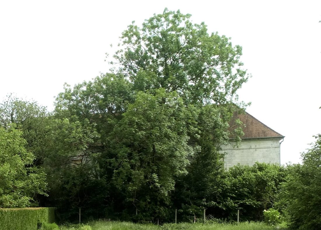 Vue de Pernois