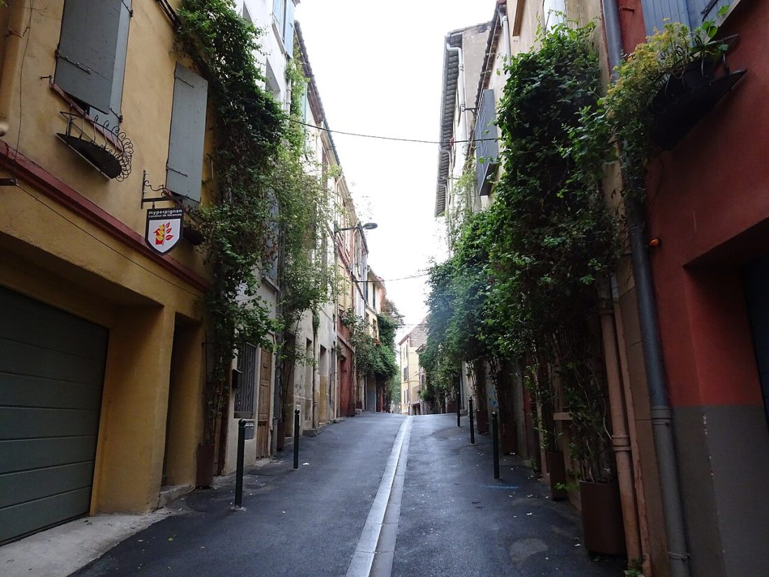 Vue de Perpignan