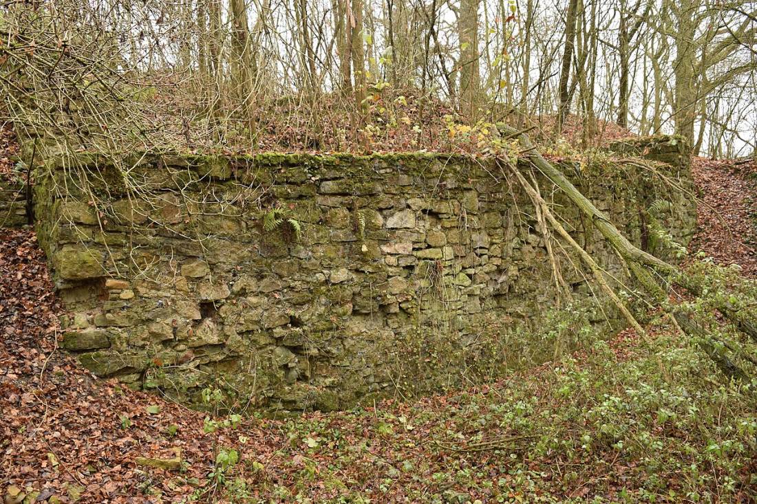 Vue de Petit-Landau
