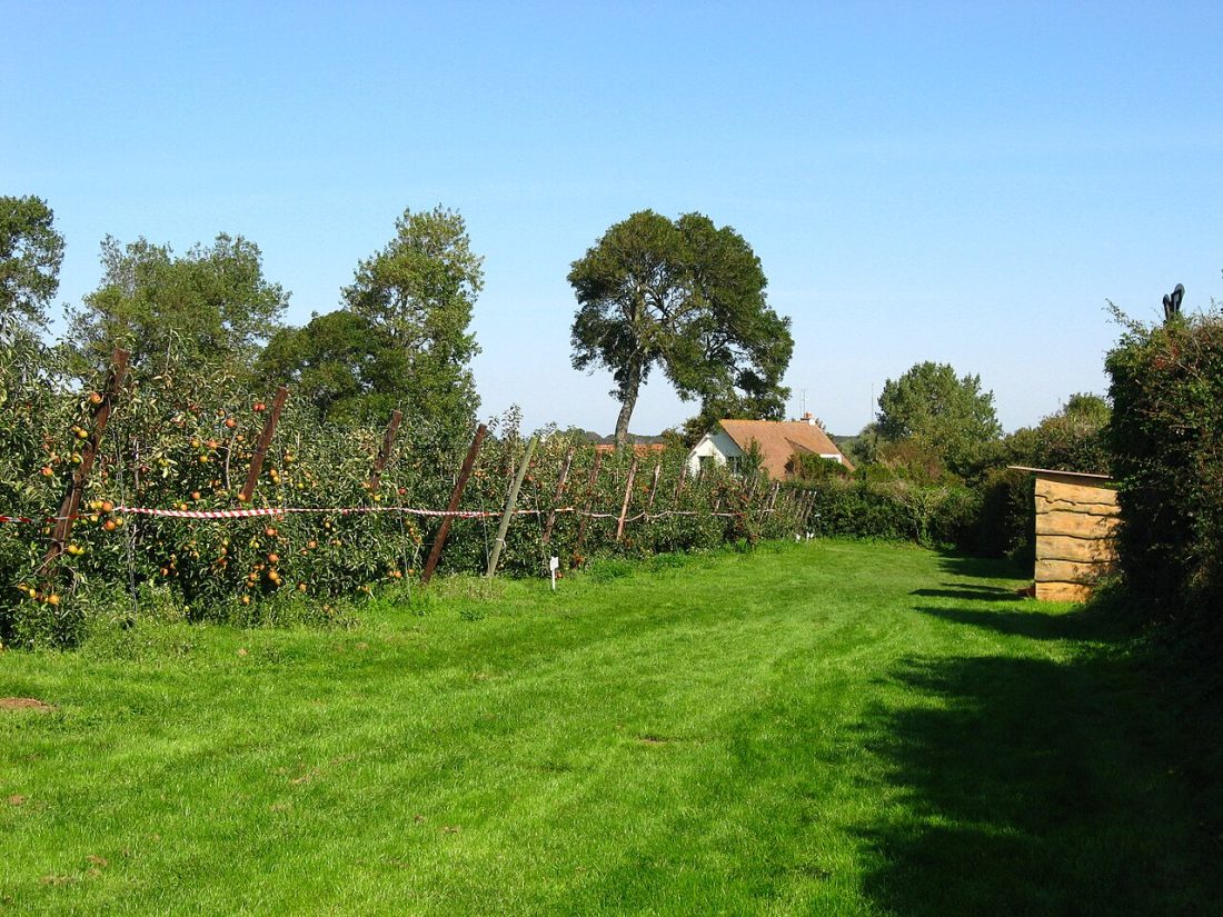 Vue de Peuplingues