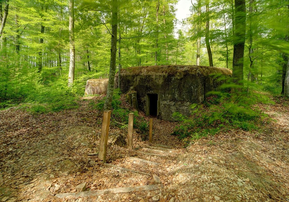 Vue de Pfetterhouse