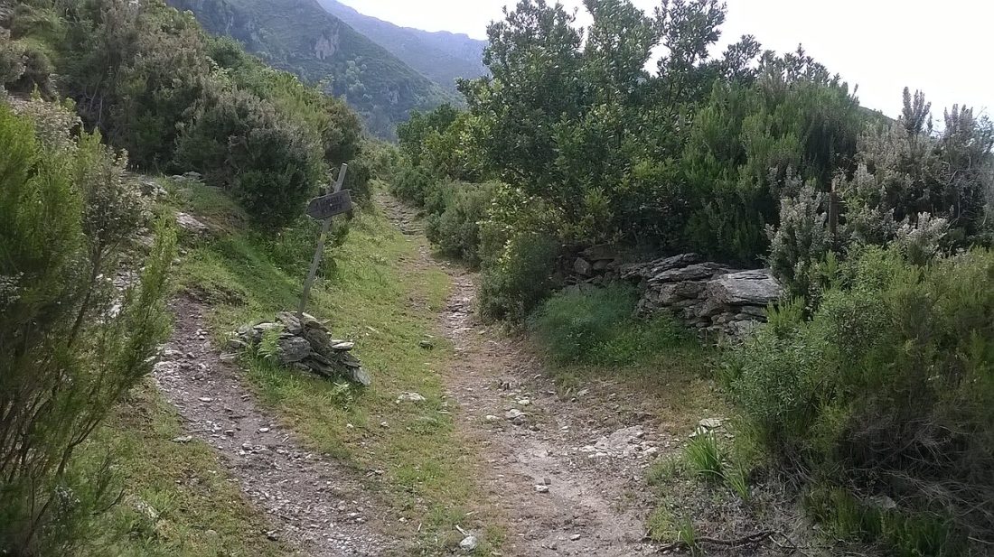 Vue de Piève