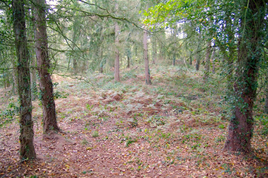Vue de Plorec-sur-Arguenon