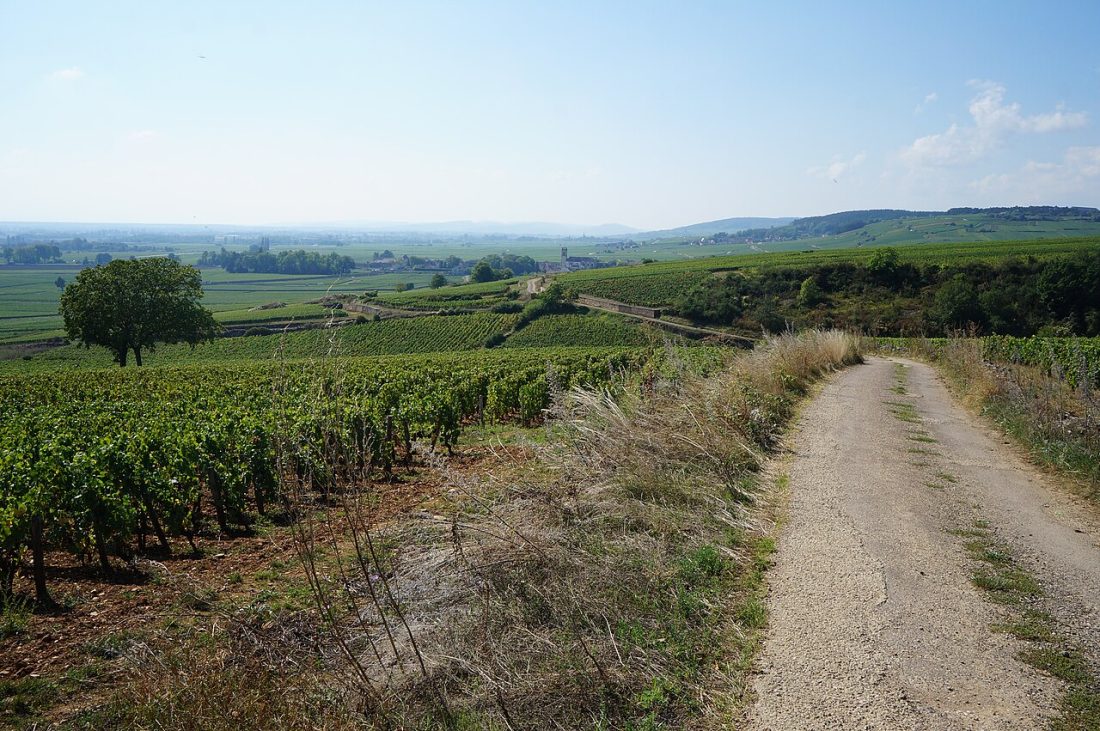Vue de Pommard