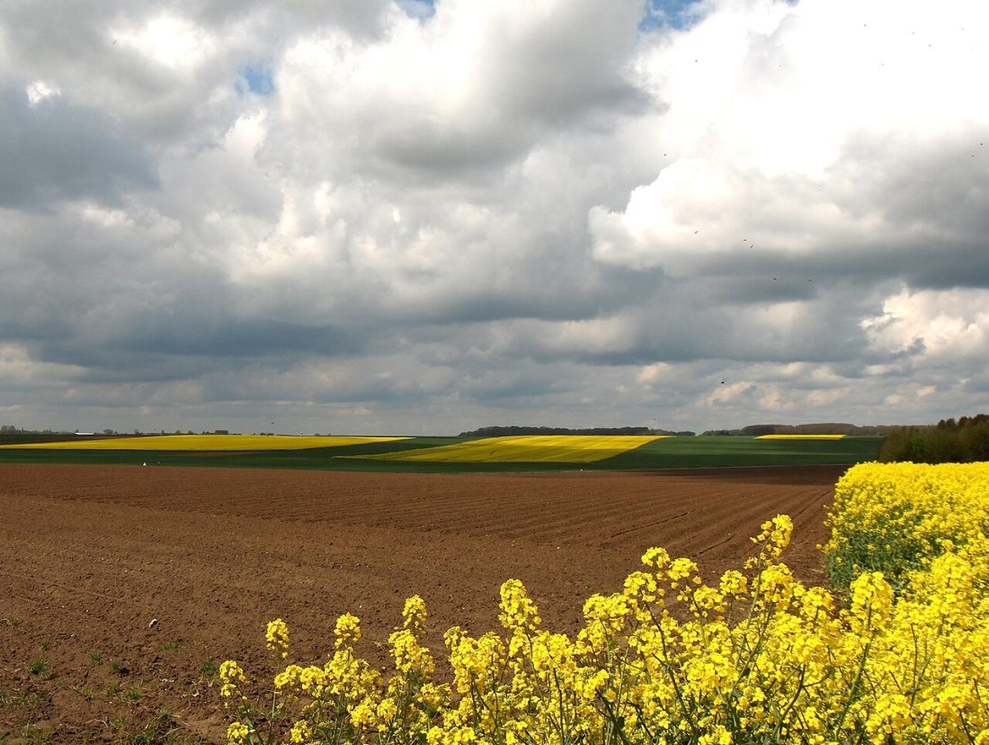 Vue de Pommier