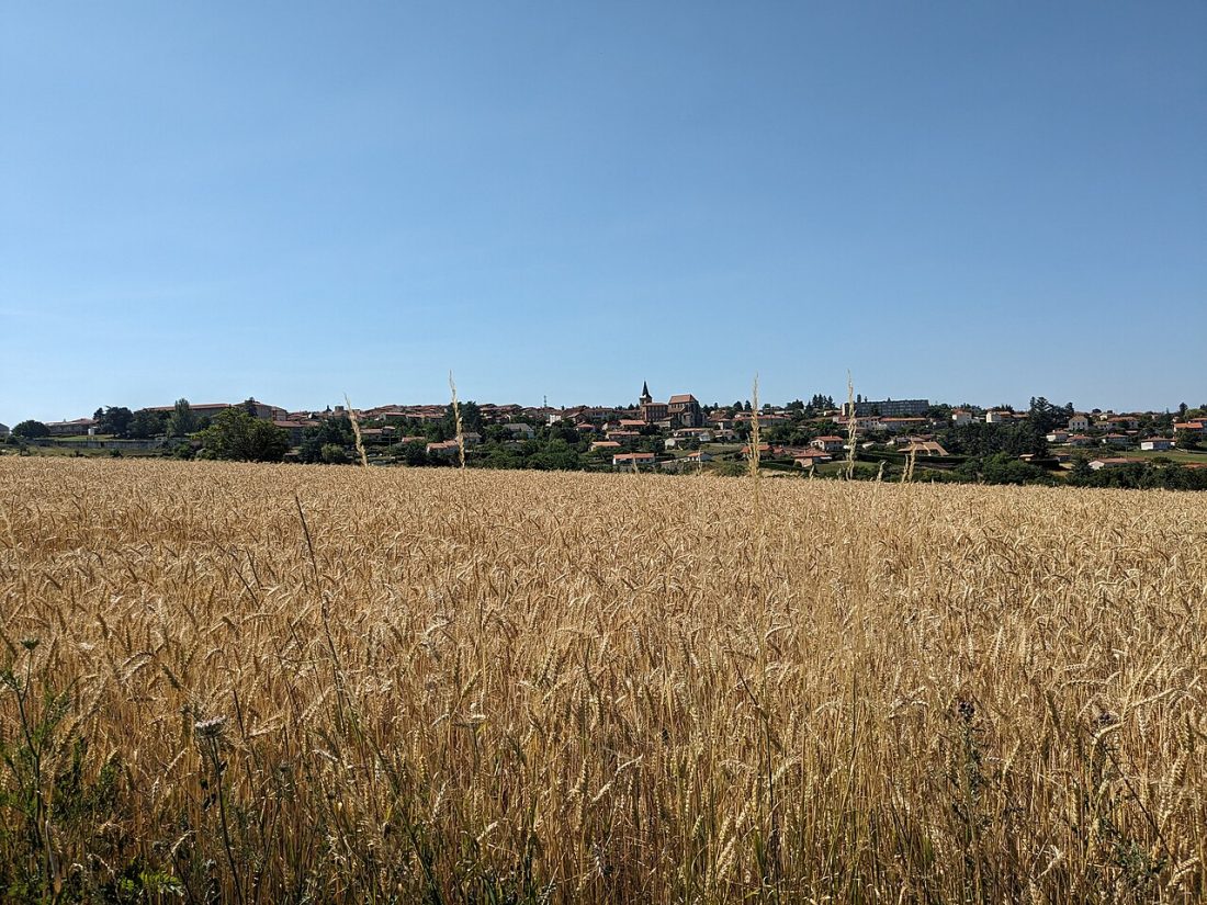 Vue de Pommiers-en-Forez