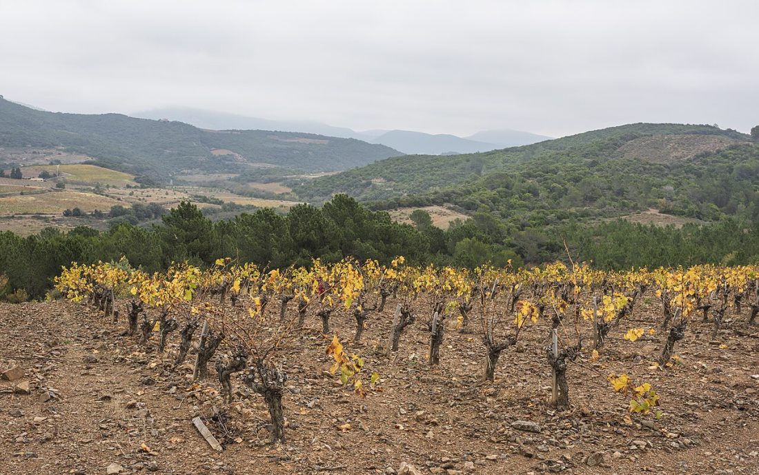 Vue de Prades-sur-Vernazobre