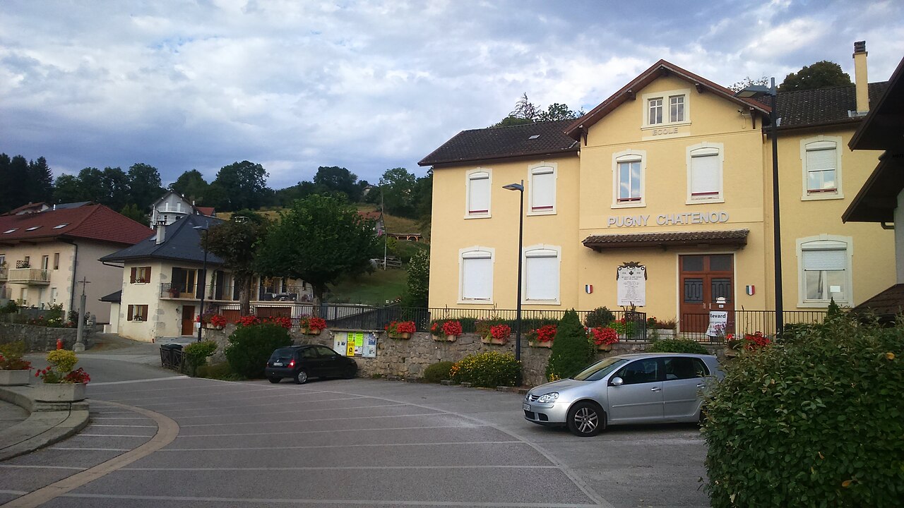 Vue de Pugny-Chatenod