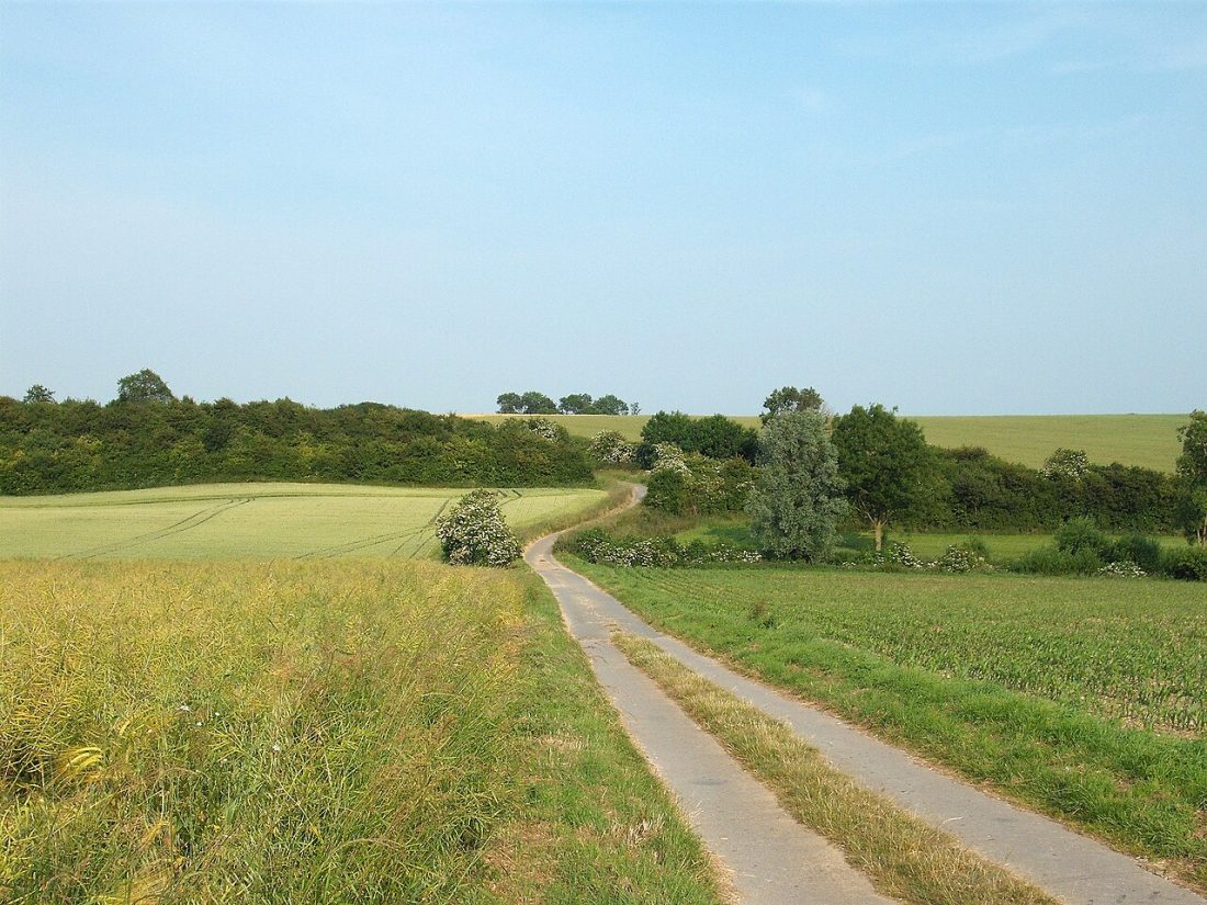 Vue de Quelmes