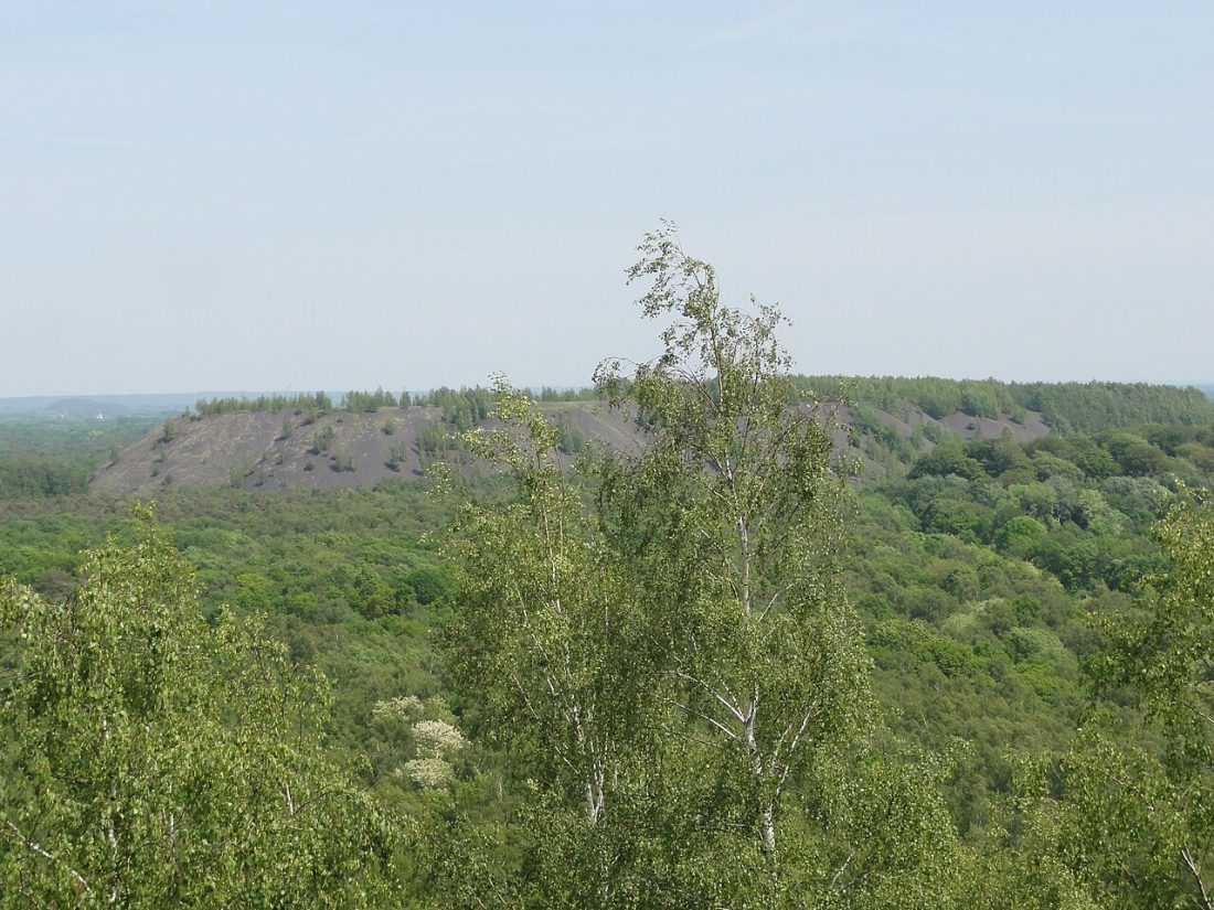 Vue de Raismes