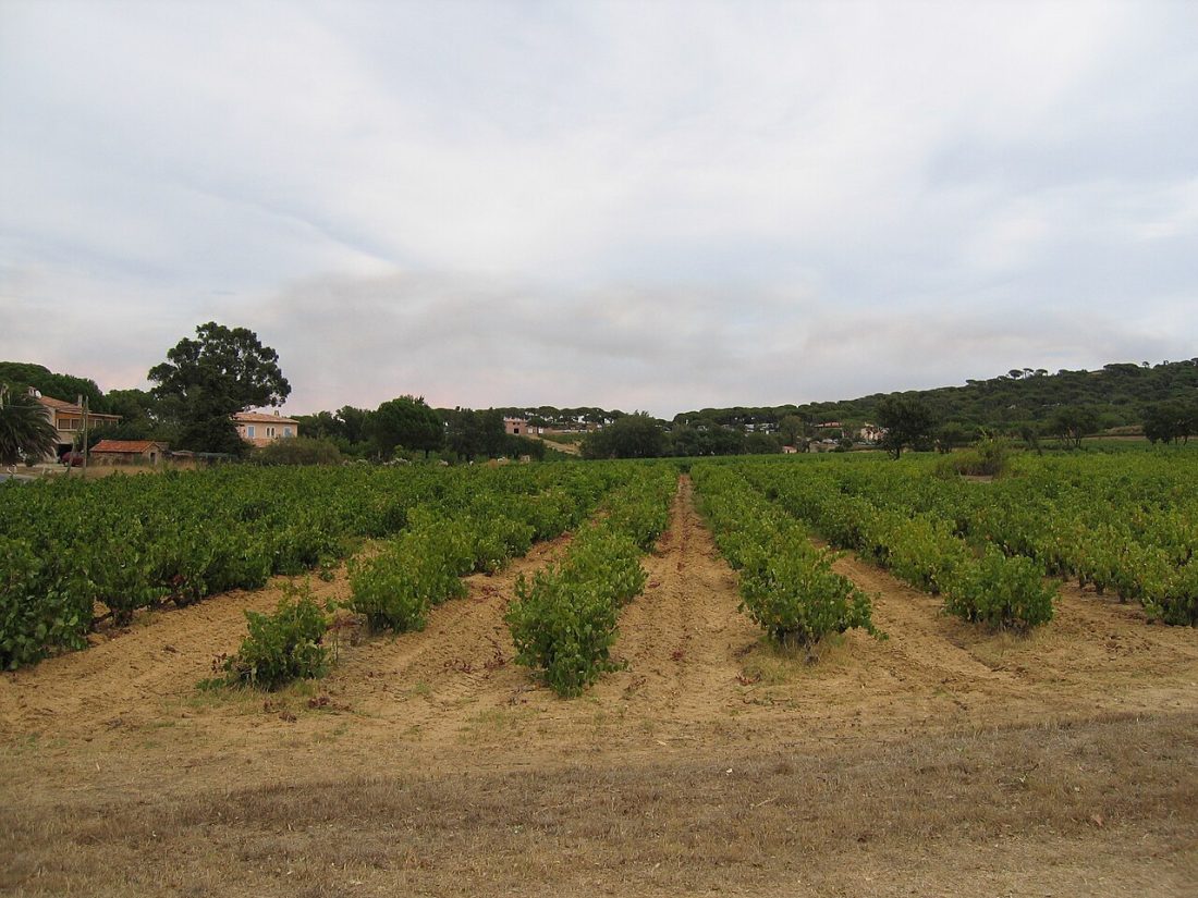 Vue de Ramatuelle