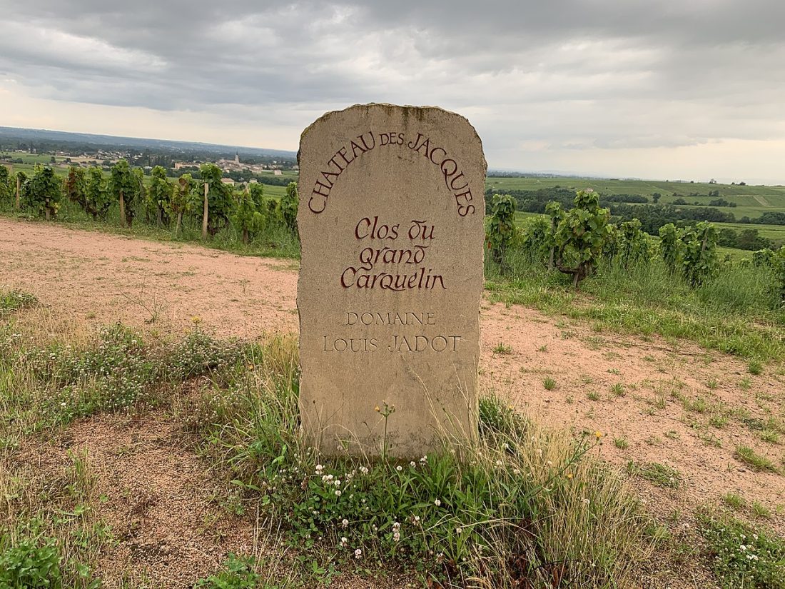 Vue de Romanèche-Thorins