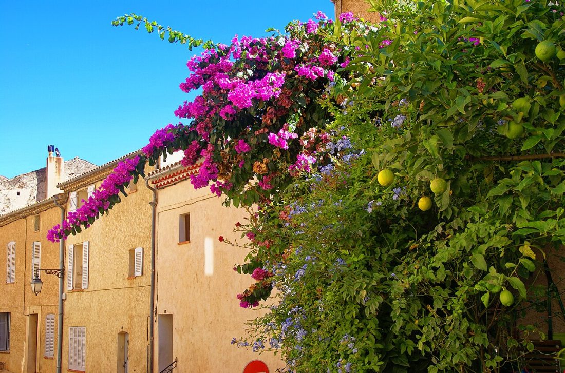 Vue de Roquebrune-sur-Argens