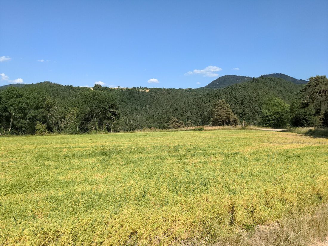 Vue de Rosières