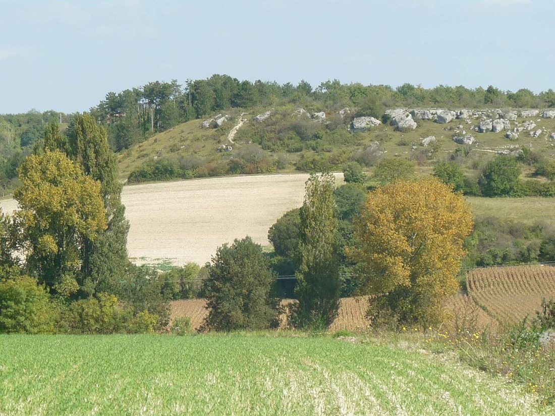 Vue de Roullet-Saint-Estèphe