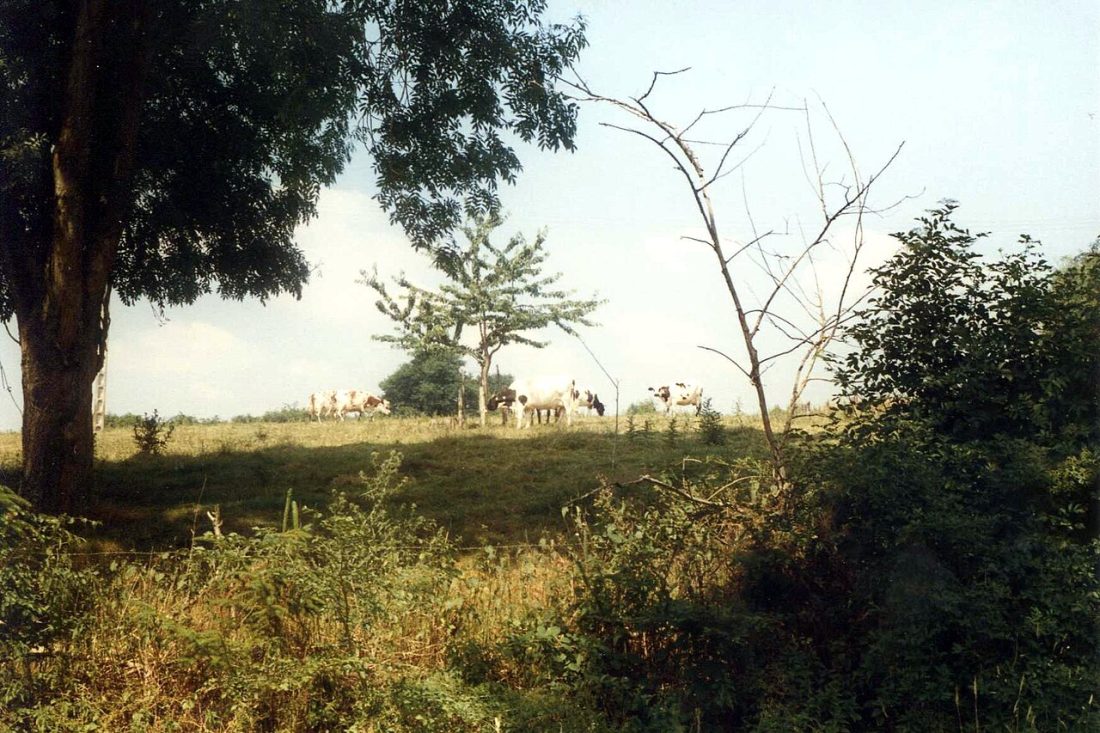 Vue de Rouperroux