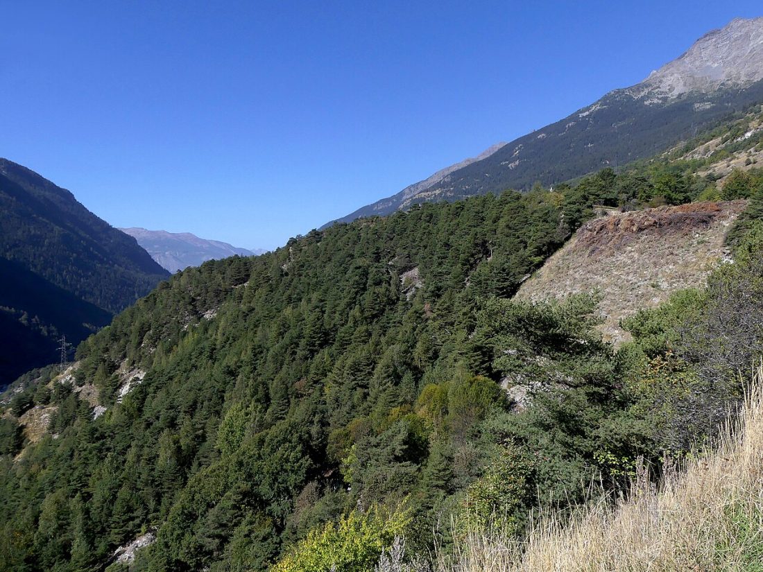 Vue de Saint-André