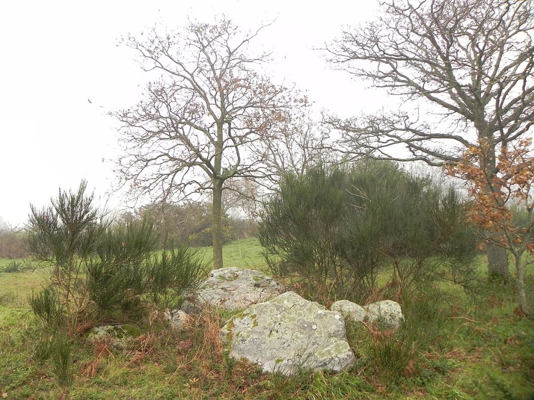 Vue de Saint-Brevin-les-Pins