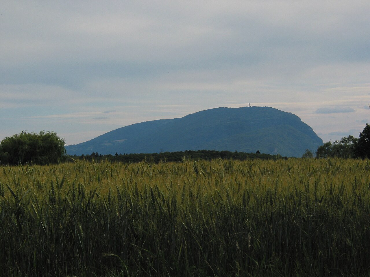 Vue de Saint-Cergues