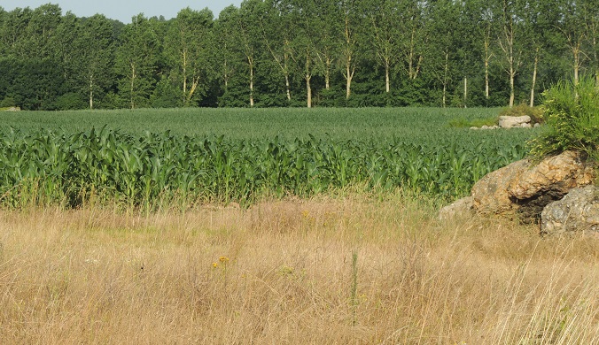 Vue de Saint-Christophe