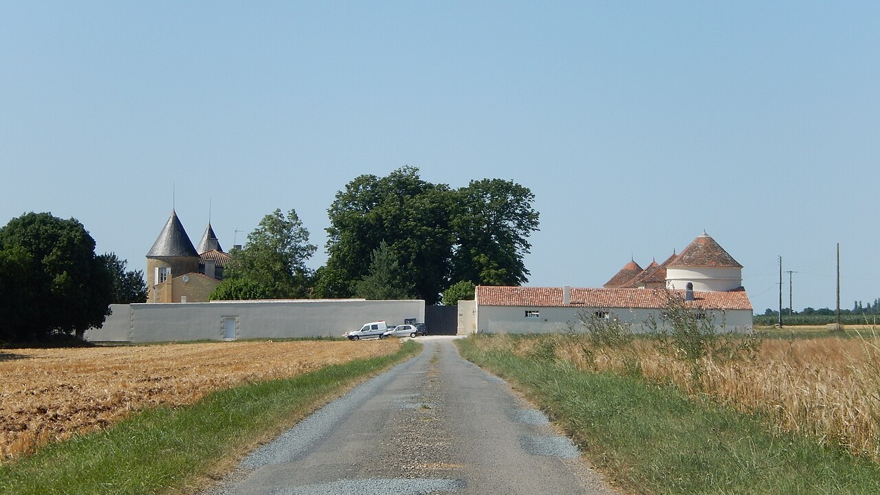 Vue de Saint-Coutant-le-Grand