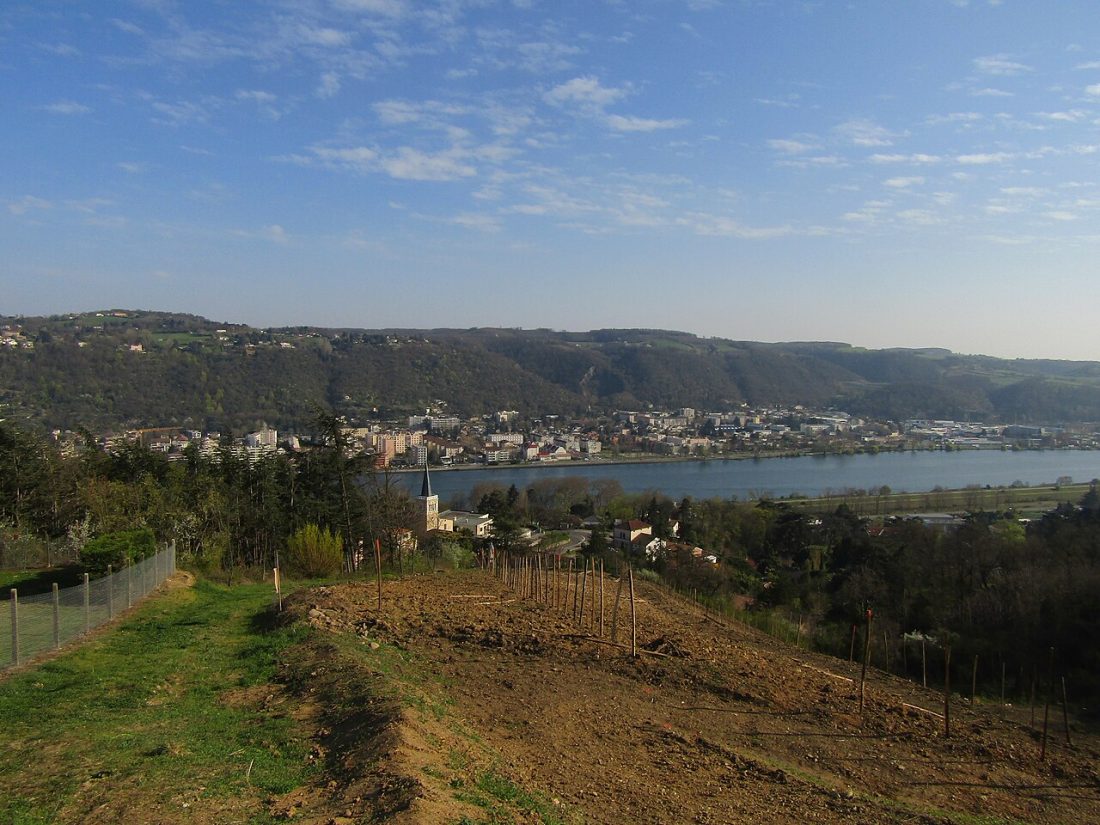 Vue de Saint-Cyr-sur-le-Rhône