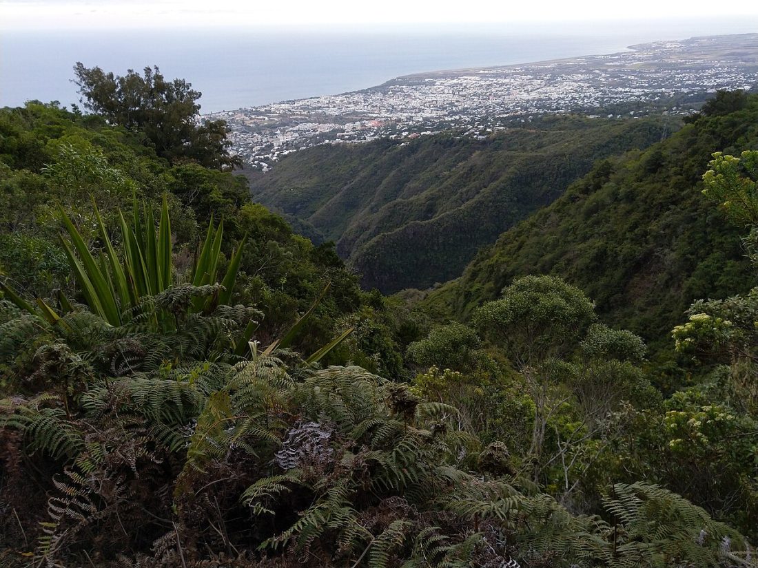 Vue de Saint-Denis