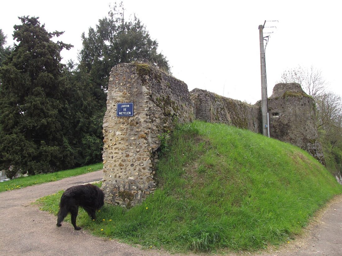 Vue de Saint-Firmin-des-Bois