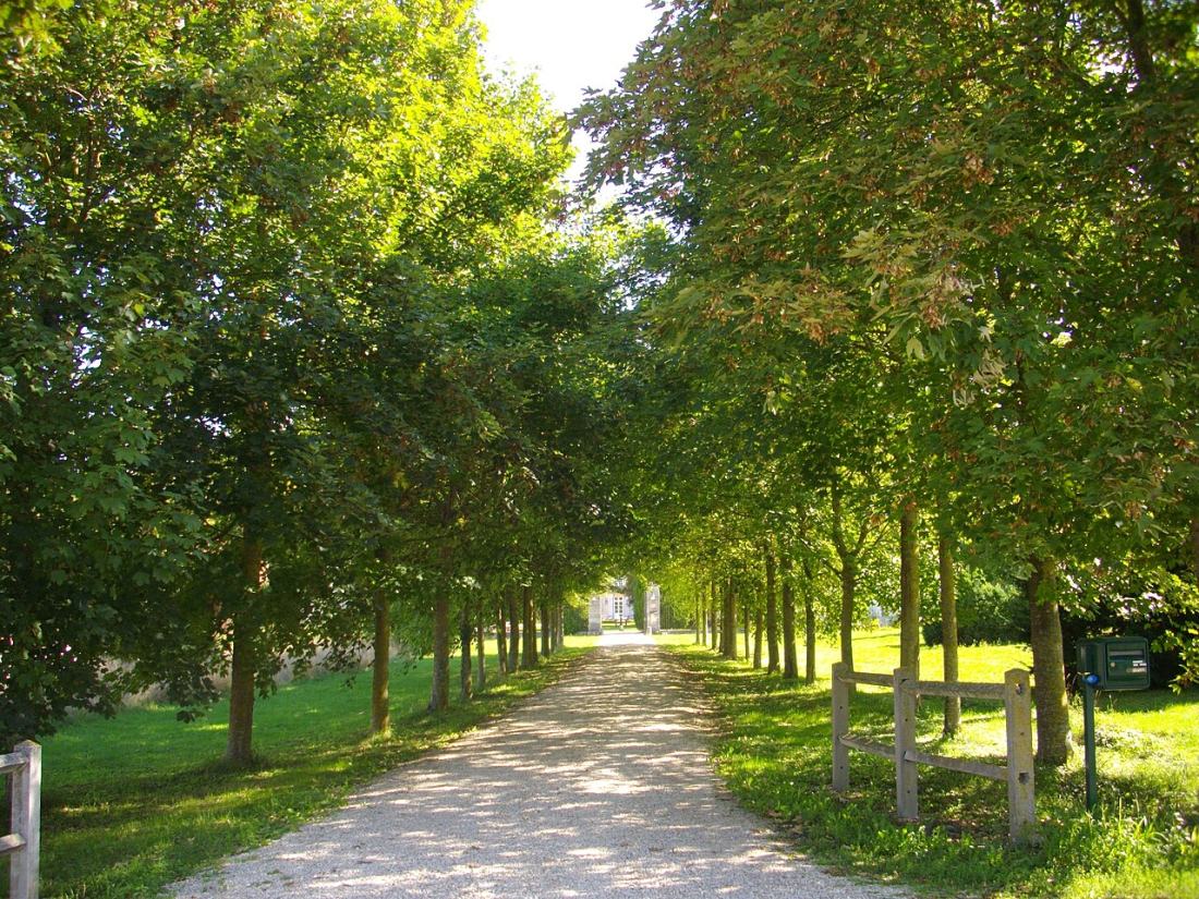 Vue de Saint-Germain-la-Ville